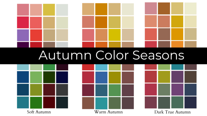 1-Minute Color Season Analysis Quiz (Free)