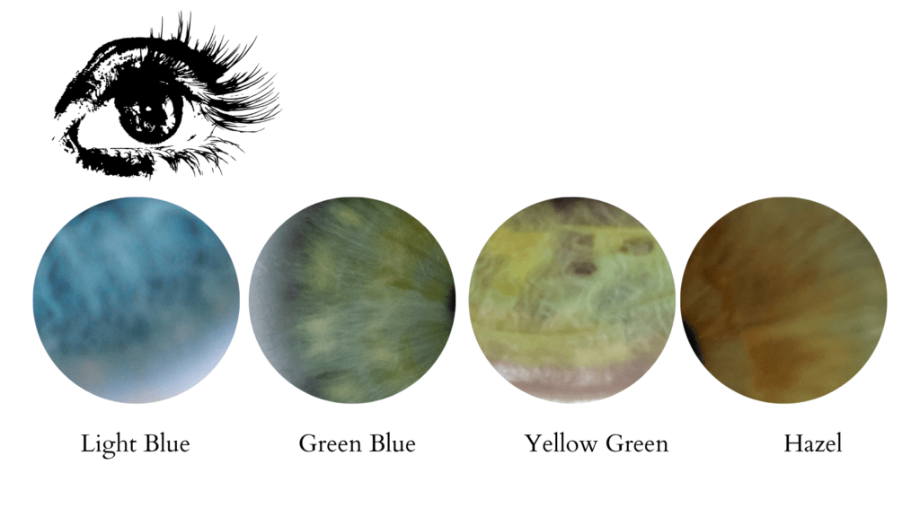 Four circles showcasing blues, greens, and hazel eye colors for light spring color seasons