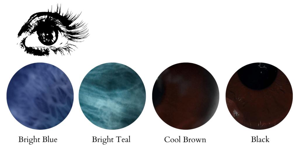 Blue, teal, brown, and black eye colors for the clear winter color season