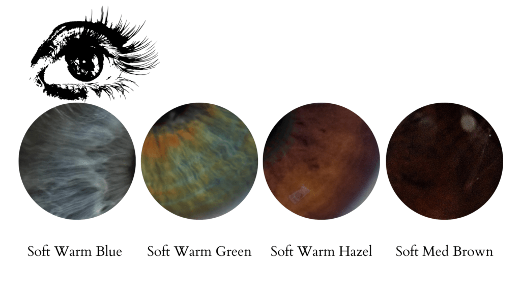 blue, green, hazel, and brown color examples for the soft autumn color season eye colors.