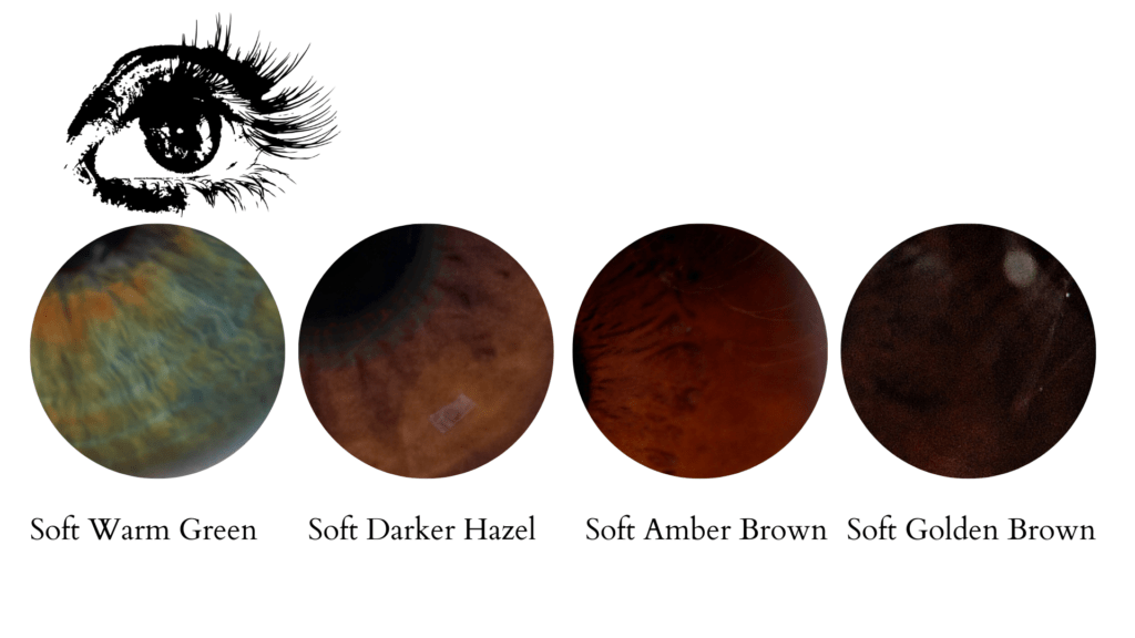 green and brown eye shades for the warm autumn color season
