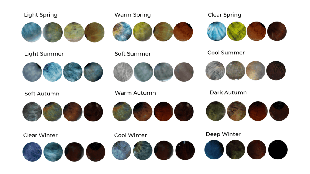 48 eye color examples for the 12 color seasons