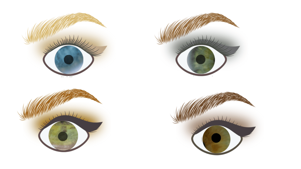 4 complete eye makeup examples in light spring makeup colors - drawing
