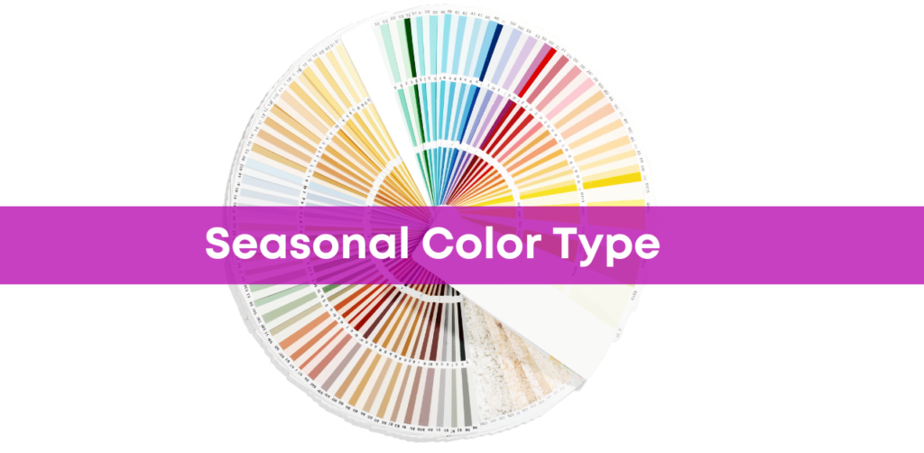 Color Wheel Showcasing Seasonal Color Type Colors