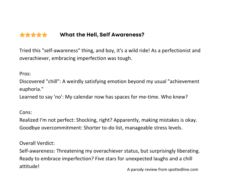 If Self Awareness were a Parody Review