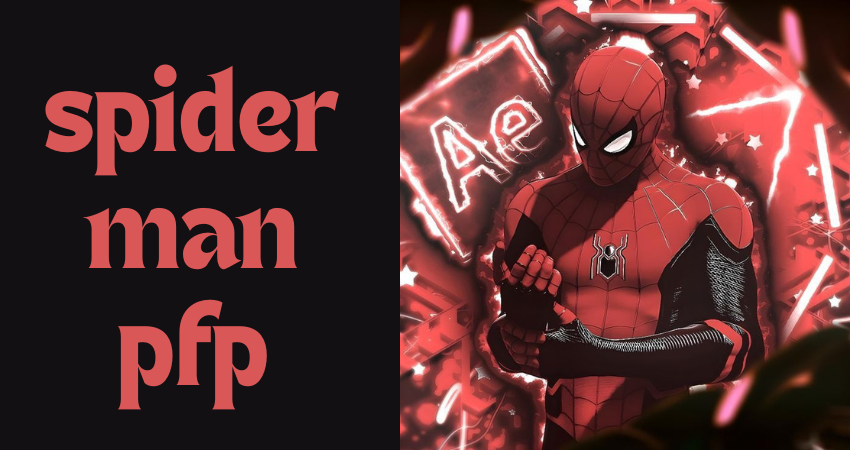 spider man pfp