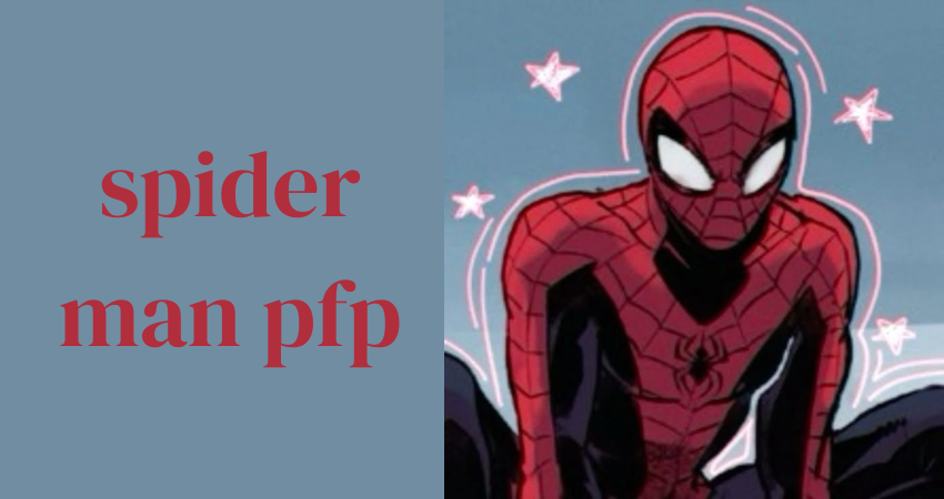 spider man pfp